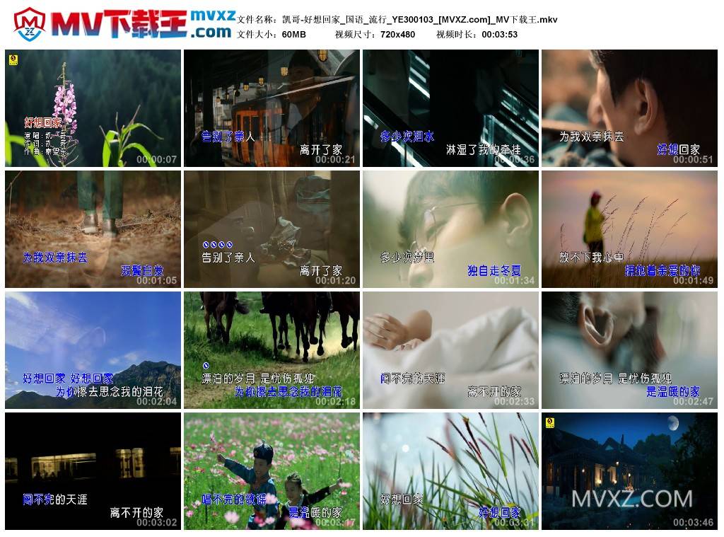 凯哥-好想回家_国语_流行_YE300103
